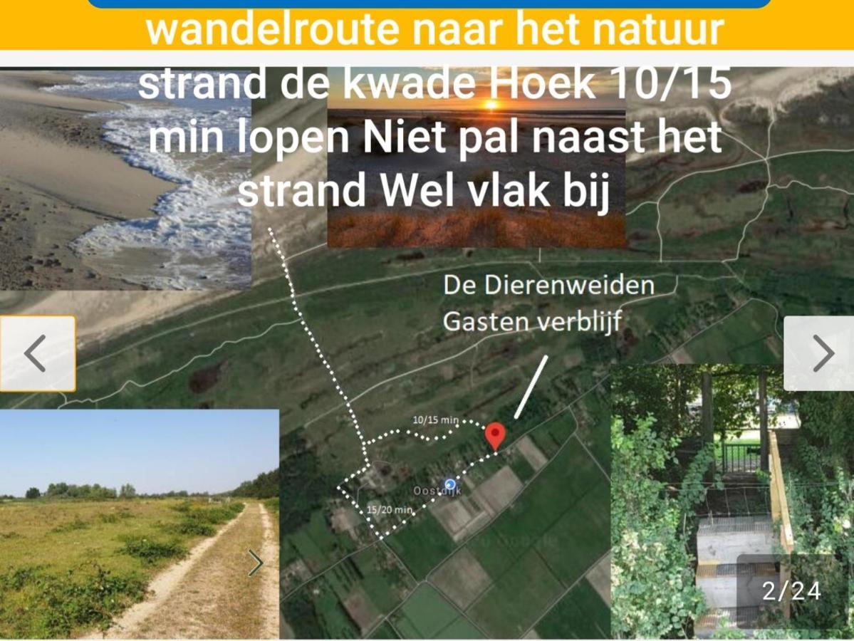 De Dierenweiden Goedereede Exterior foto
